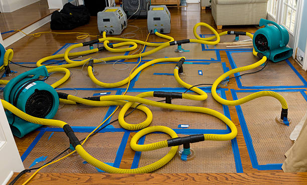 Professional Sewage Cleanup technician working in Fedora, SD